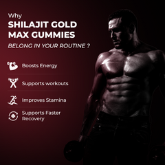 12-in-1 Pure Himalayan Shilajit Gold Max Gummies