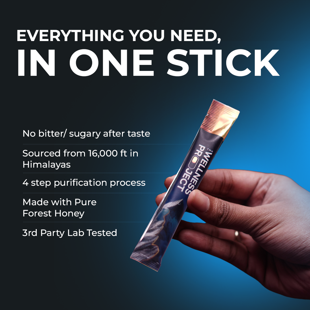 Himalayan Shilajit Honey Sticks Pro (Classic Honey)