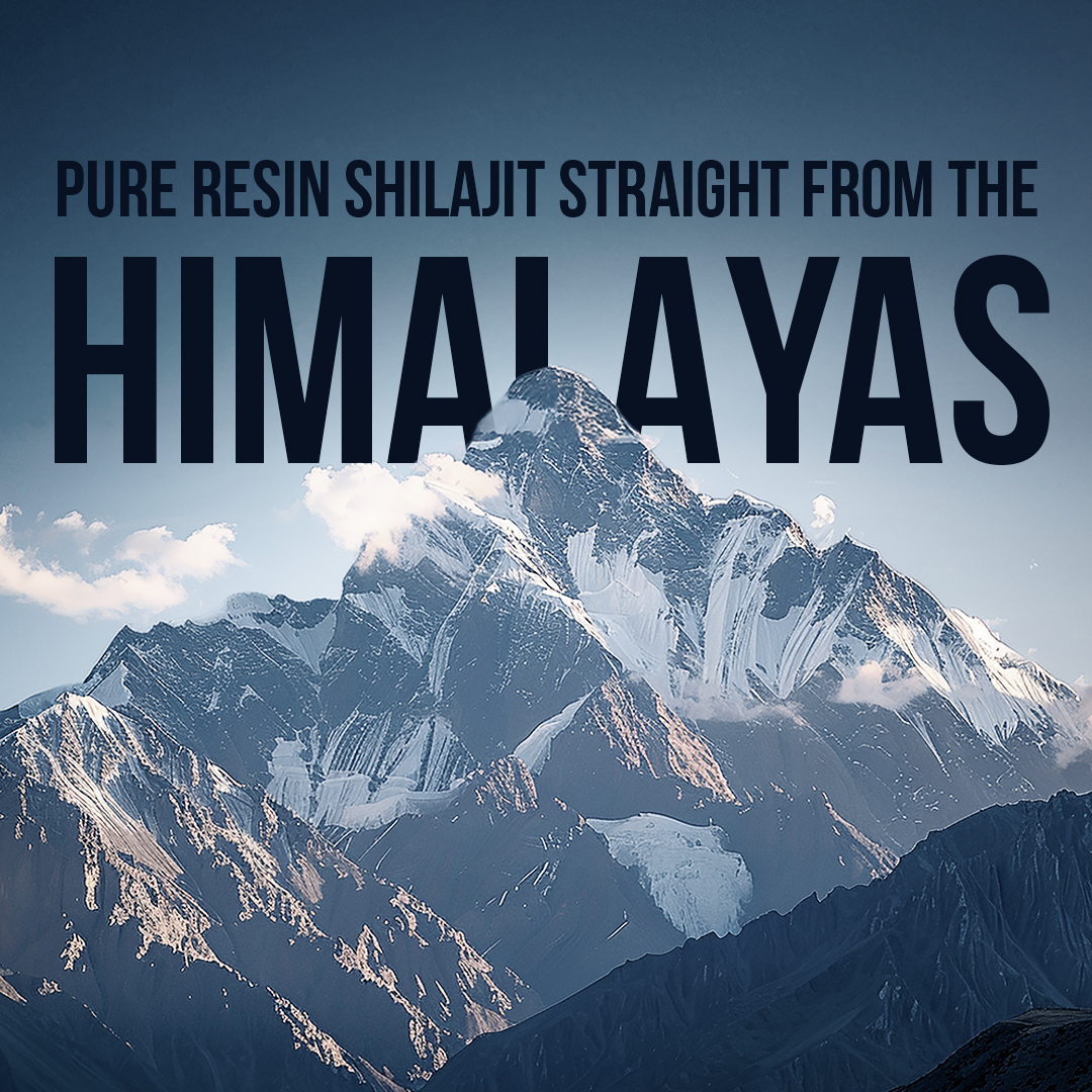 Himalayan Shilajit Honey Sticks Pro (Classic Honey)