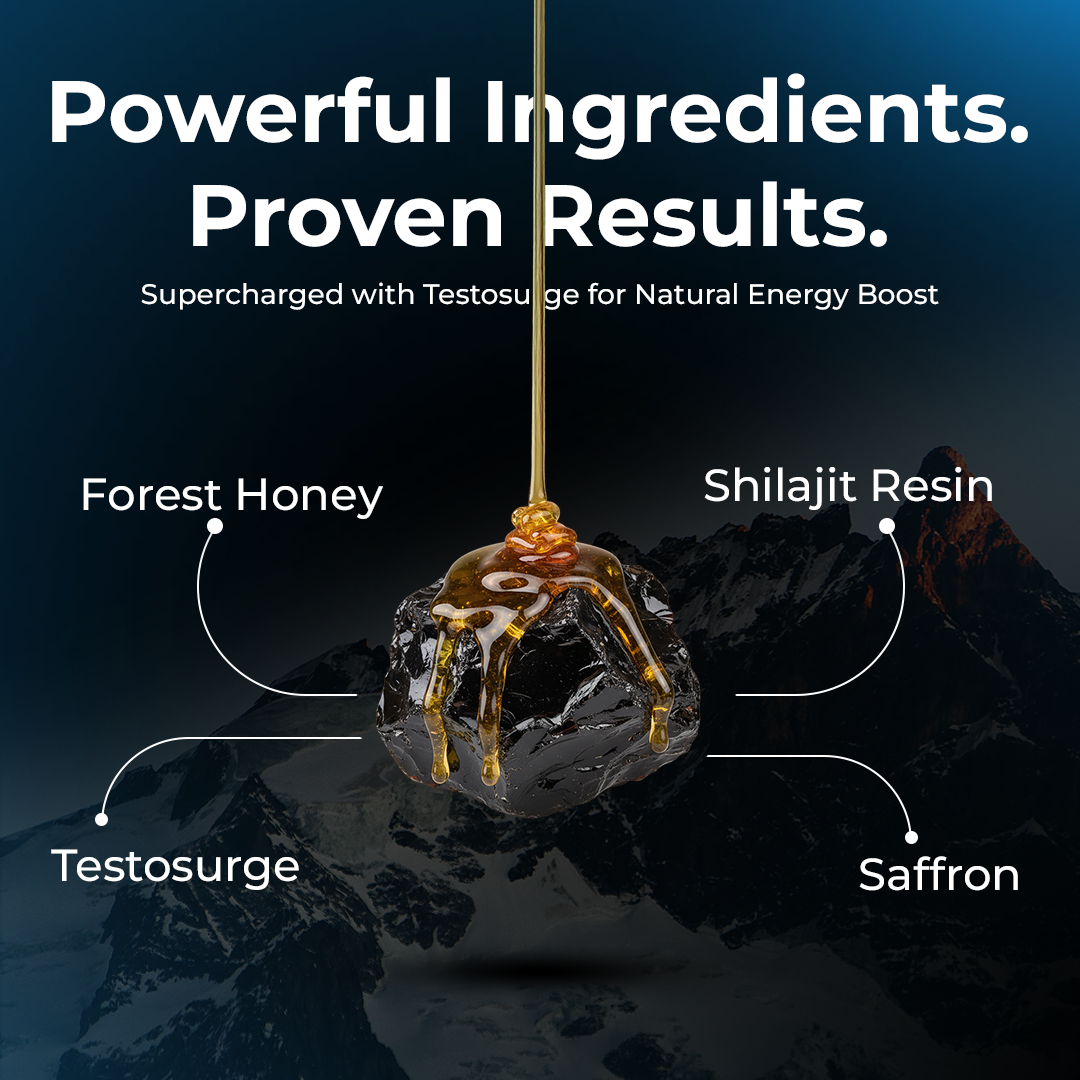 Himalayan Shilajit Honey Sticks Pro (Classic Honey)