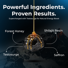 Himalayan Shilajit Honey Sticks Pro (Classic Honey)