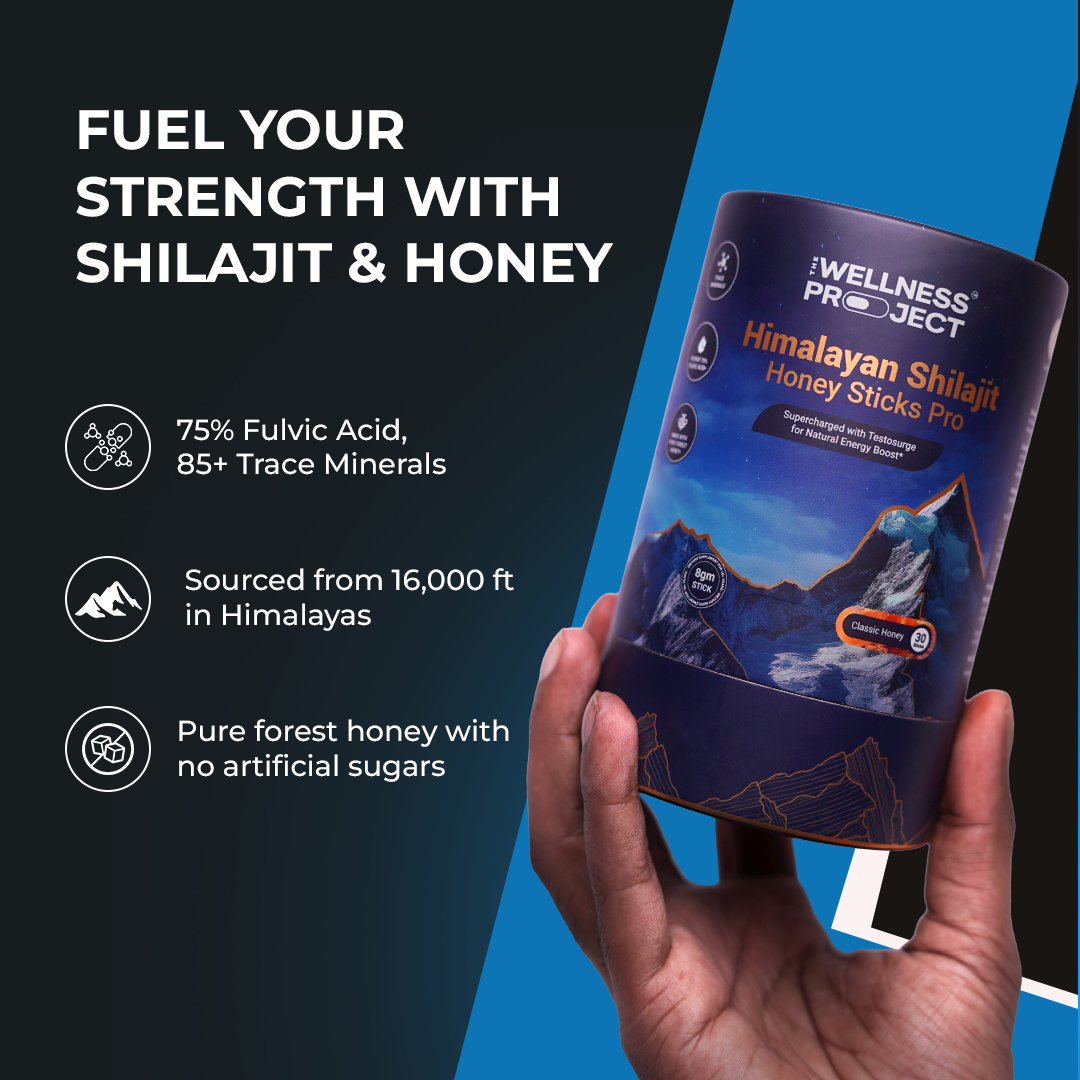 Himalayan Shilajit Honey Sticks Pro (Classic Honey)