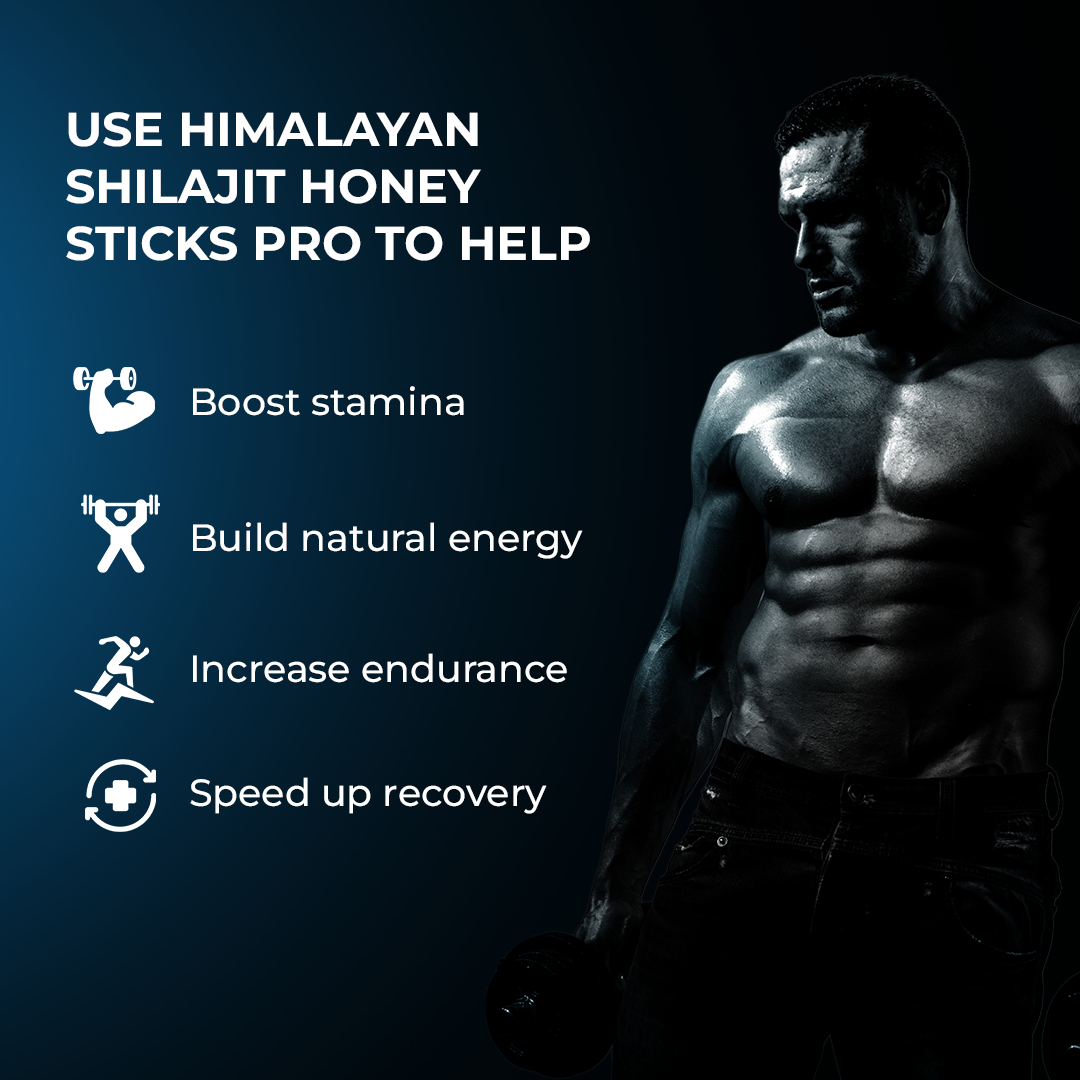Himalayan Shilajit Honey Sticks Pro (Classic Honey)