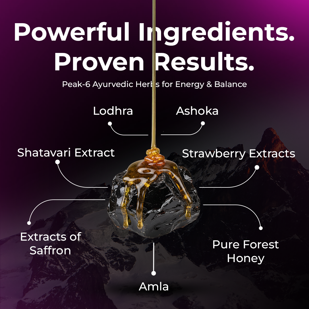 Himalayan Shilajit Honey Sticks Pro (Berry Bloom)