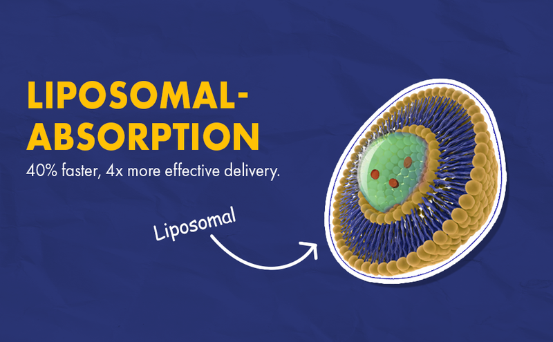 Liposomal-Absorption